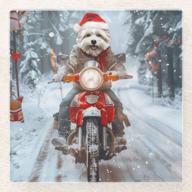 Maltesischer Hund reitend Motorrad Weihnachten Glasuntersetzer (Vorderseite)