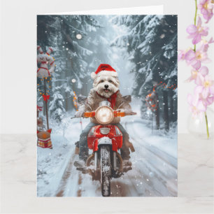 Maltesischer Hund reitend Motorrad Weihnachten Karte