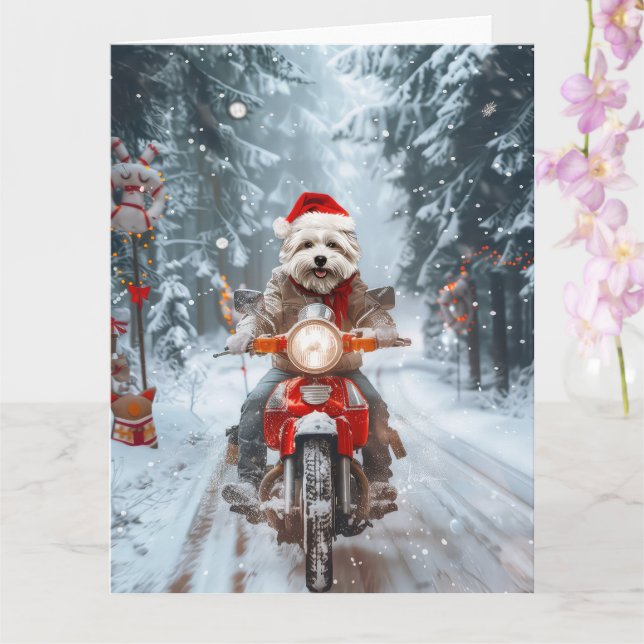 Maltesischer Hund reitend Motorrad Weihnachten Karte (Orchidee)
