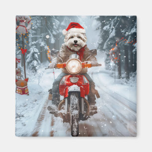 Maltesischer Hund reitend Motorrad Weihnachten Magnet