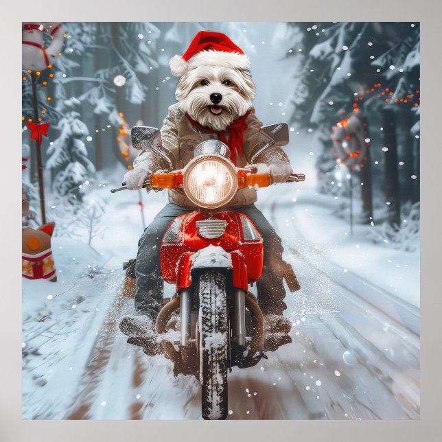 Maltesischer Hund reitend Motorrad Weihnachten Poster (Vorne)