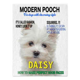 Maltesischer Terrier Parody Magazine Cover Fotodruck