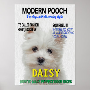 Maltesischer Terrier Parody Magazine Cover Poster