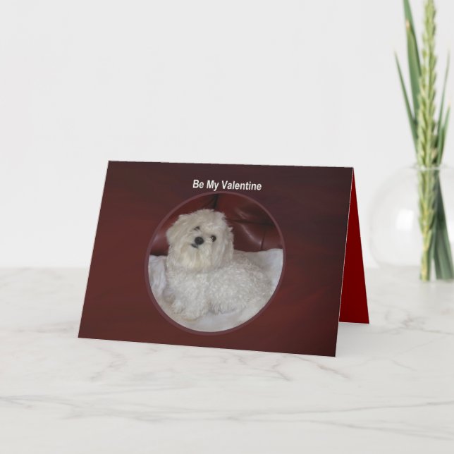 Maltesischer Valentinsgruß - Sie haben meine Feiertagskarte (Vorderseite)