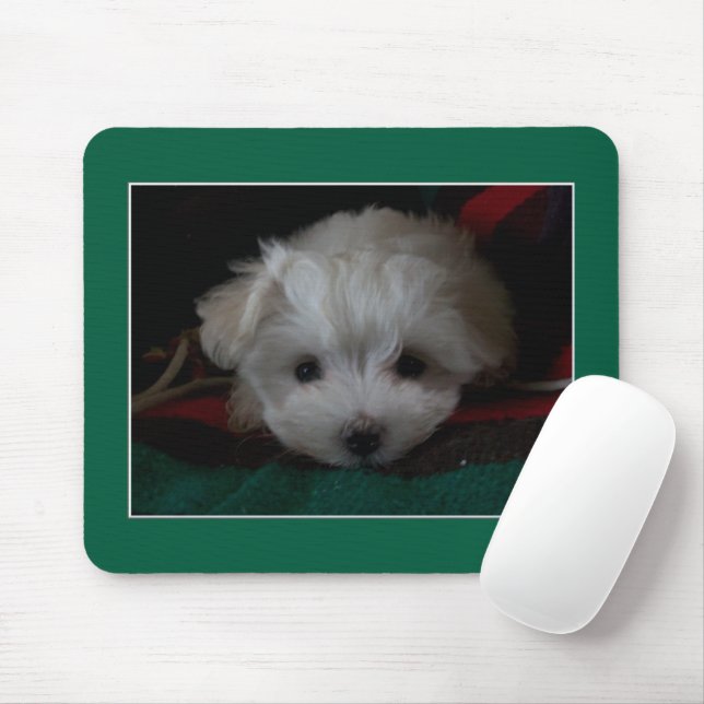 Maltesischer Welpe Eyes Mouse Pad Mousepad (Mit Mouse)