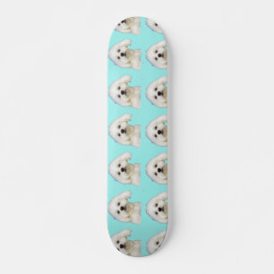 Maltesischer Welpe Skateboard