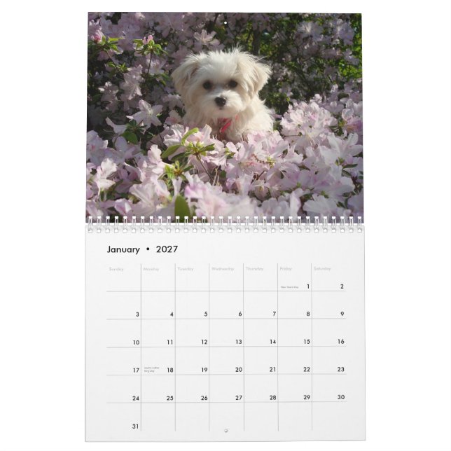 Maltesisches 2010 kalender (Jan 2027)