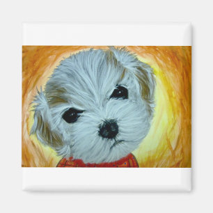 maltesisches Aquarell des Hundegesichtes Magnet