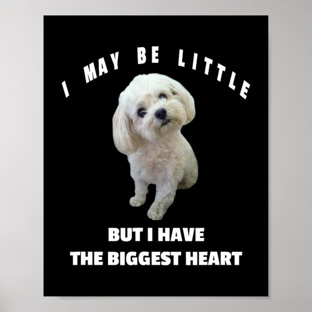 Maltesisches kleines maltesisches Dog Design Witzi Poster (Vorne)