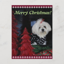 Maltesisches Weihnachten