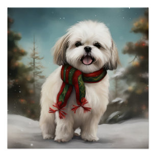 Malti Tzu Dog im Schnee Weihnachten Poster