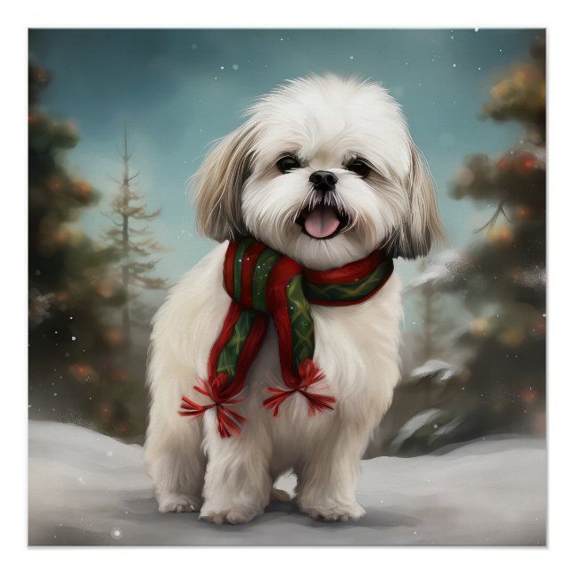 Malti Tzu Dog im Schnee Weihnachten Poster (Vorderseite)