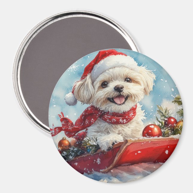 Malti Tzu Dog in Sledge Let it Schnee Weihnachten Magnet (Vorderseite/Rückseite)