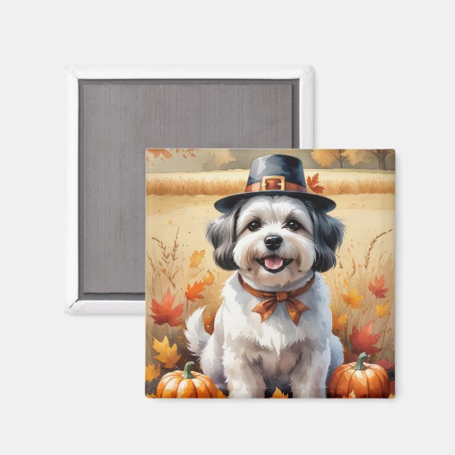 Malti Tzu im Herbst hinterlässt Erntedank Kunst Magnet (Vorderseite/Rückseite)