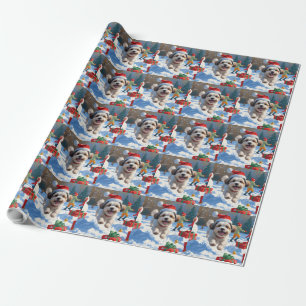Malti Tzu läuft im Schnee mit Weihnachtsmütze Geschenkpapier