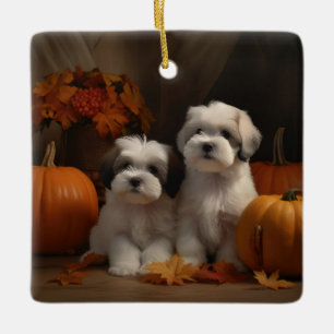 Malti Tzu Welpe Herbstvergnügen Kürbis Keramikornament