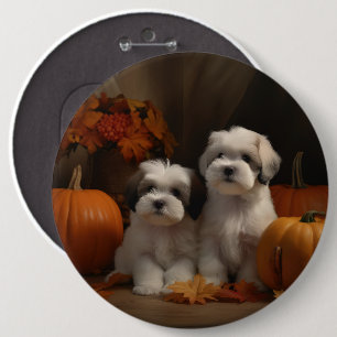 Malti tzu Welppy Autumn Delight Pumpkin Button