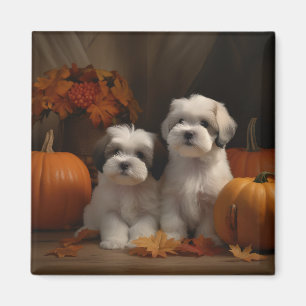 Malti tzu Welppy Autumn Delight Pumpkin Magnet