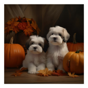 Malti tzu Welppy Autumn Delight Pumpkin Poster