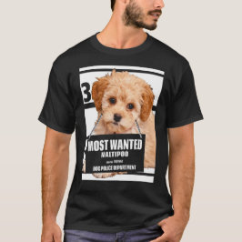 Maltipoo am meisten Gewollt - Maltesisches Miniatu T-Shirt