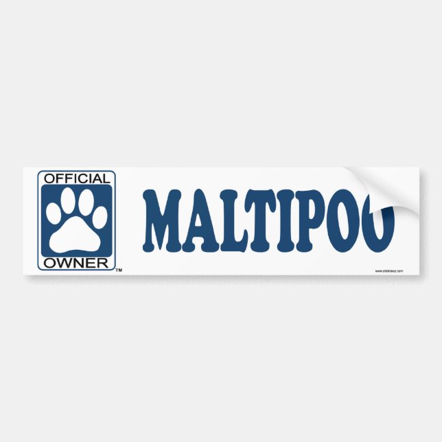 Maltipoo Blau Autoaufkleber (Vorne)