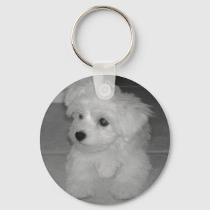 Maltipoo Keychain Schlüsselanhänger