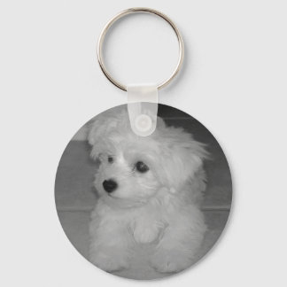 Maltipoo Keychain Schlüsselanhänger