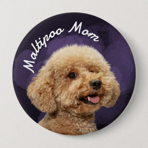 Maltipoo-Mama mit lila Hintergrund Button