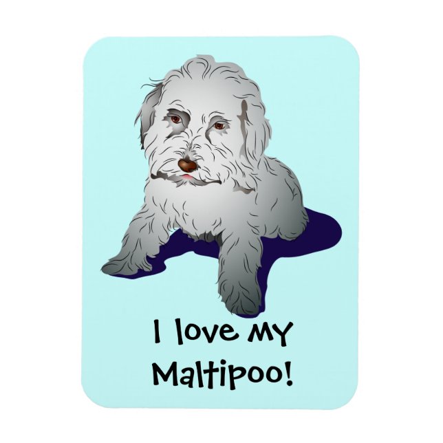 Maltipoo Niedlich Puppy Magnet (Vertikal)