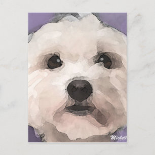 Maltipoo Postkarte