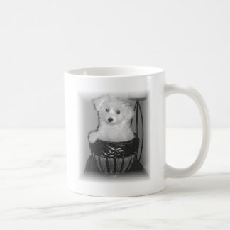 MaltiPoo Produkte Kaffeetasse