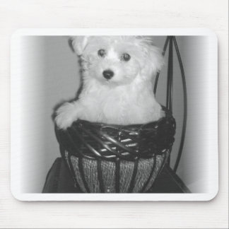 MaltiPoo Produkte Mousepad
