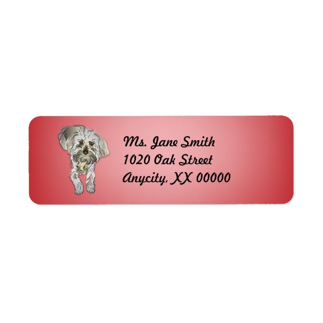 Maltipoo Puppy auf rosa (Vorne)