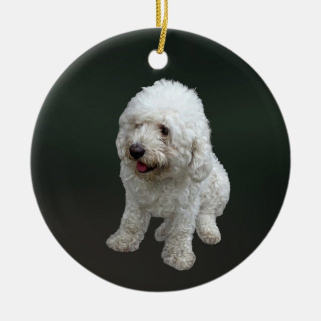 Maltipoo Puppy Keramik Ornament (Vorne)