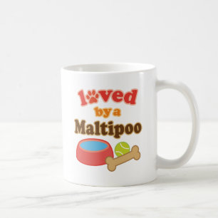 maltipoo vorbei geliebt tasse