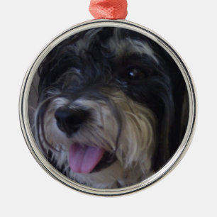 maltipoo Weihnachtsverzierung Ornament Aus Metall