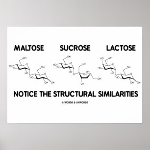 Maltose Saccharose Lactose Strukturähnliche Eigens Poster