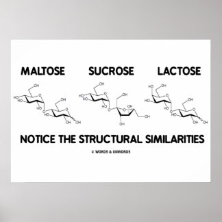 Maltose Saccharose Lactose Strukturähnliche Eigens Poster