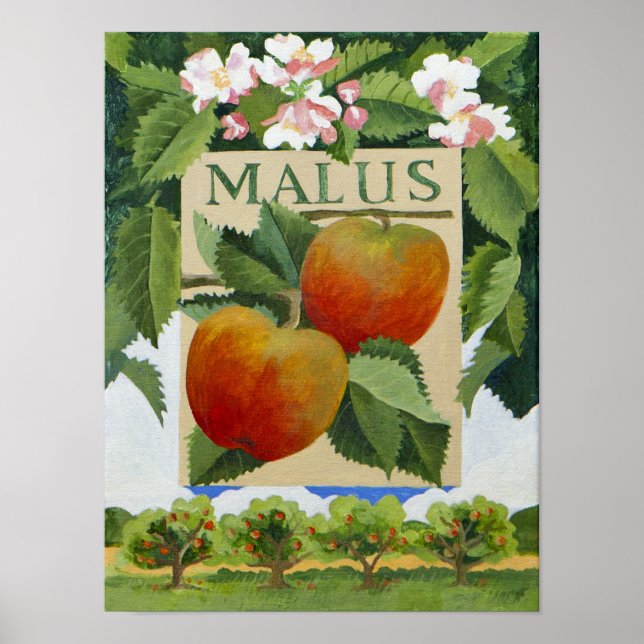 Malus Poster (Vorne)