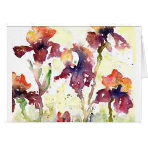 malvenfarbene Iris