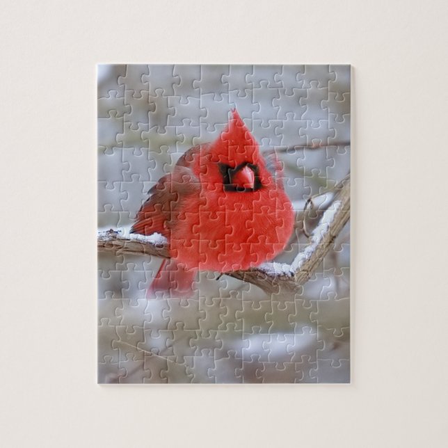 Malw_Cardinal_puzzle  Puzzle (Vertikal)