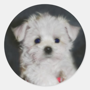 Malzaufkleber Runder Aufkleber