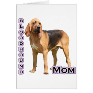 MAMA 4