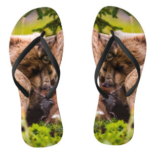 Mama-Bär stillt ihre zwei Jungen, Lake Clark Natio Flip Flops
