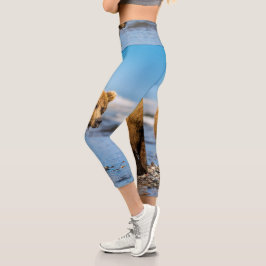 Mama Bären beobachtet ihre beiden Kinder Capri Leggings
