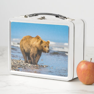 Mama Bären beobachtet ihre beiden Kinder Metall Brotdose