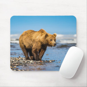 Mama Bären beobachtet ihre beiden Kinder Mousepad