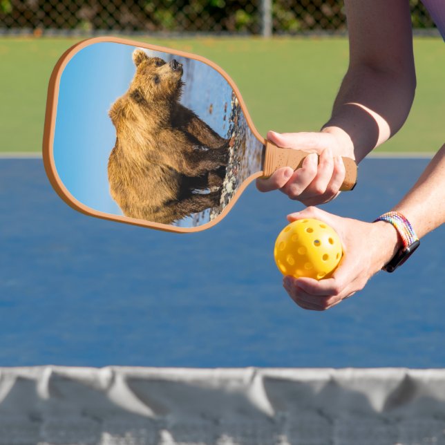 Mama Bären beobachtet ihre beiden Kinder Pickleball Schläger (InSitu)