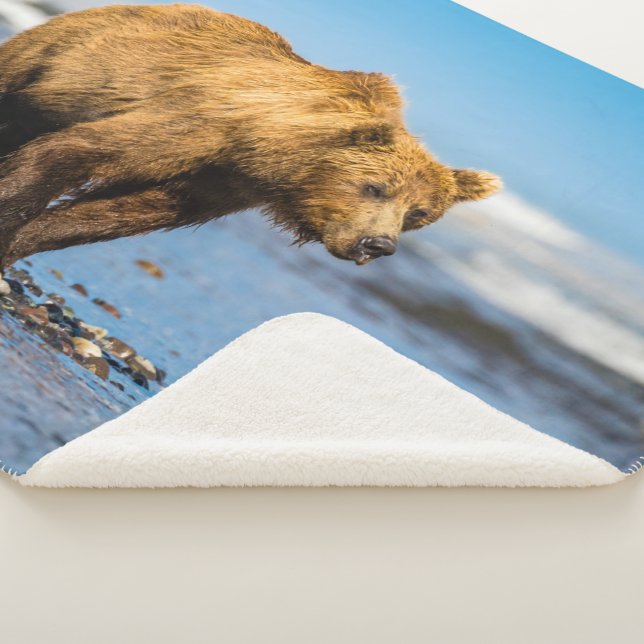 Mama Bären beobachtet ihre beiden Kinder Sherpadecke (3/4)