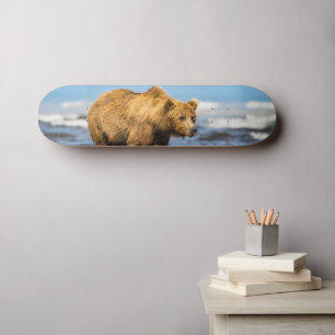 Mama Bären beobachtet ihre beiden Kinder Skateboard